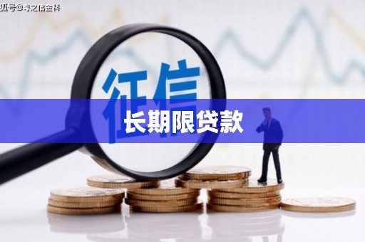 天河长期限贷款