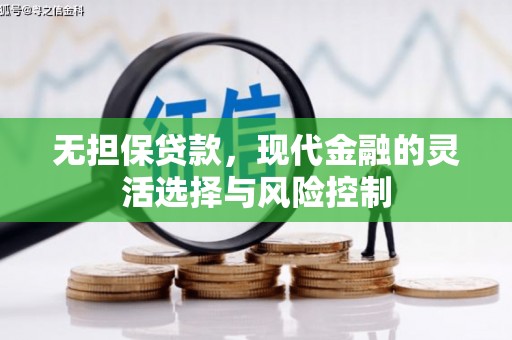 善化无担保贷款，现代金融的灵活选择与风险控制
