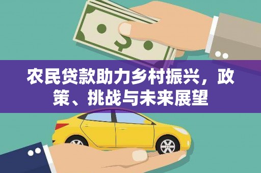 新林农民贷款助力乡村振兴，政策、挑战与未来展望