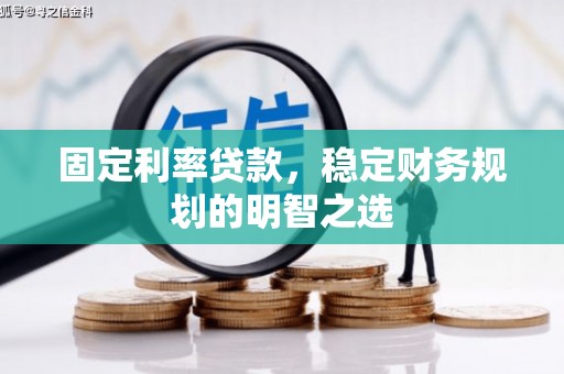 分宜固定利率贷款，稳定财务规划的明智之选