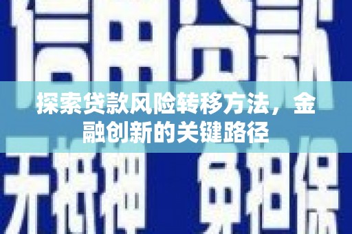 新河探索贷款风险转移方法，金融创新的关键路径