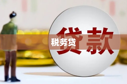 彰武税务贷
