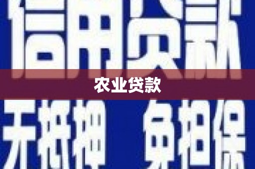 沈河农业贷款