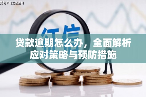 塔城贷款逾期怎么办，全面解析应对策略与预防措施