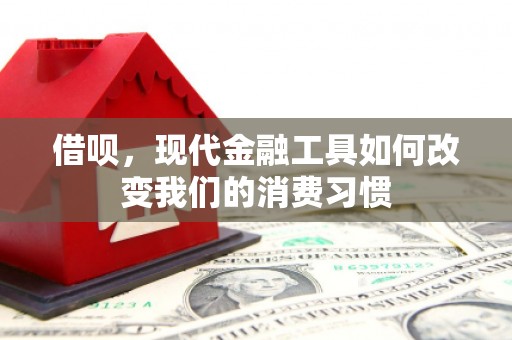 彭泽借呗，现代金融工具如何改变我们的消费习惯