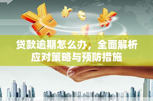 泾川贷款逾期怎么办，全面解析应对策略与预防措施