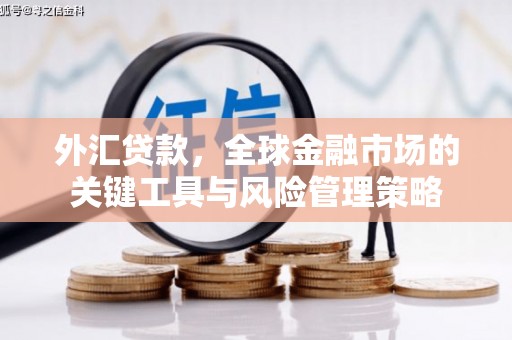 雁塔外汇贷款，全球金融市场的关键工具与风险管理策略