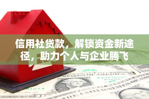 定海信用社贷款，解锁资金新途径，助力个人与企业腾飞