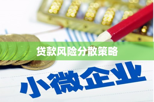 疏附贷款风险分散策略
