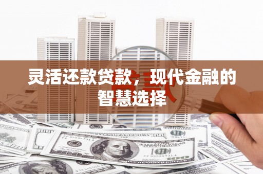 寿丰灵活还款贷款，现代金融的智慧选择