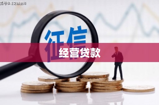 岐山经营贷款
