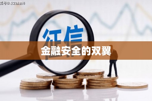 望都金融安全的双翼