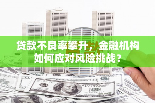 西盟贷款不良率攀升，金融机构如何应对风险挑战？