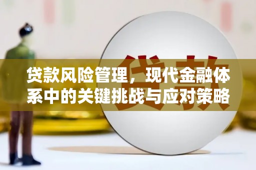 凤岗贷款风险管理，现代金融体系中的关键挑战与应对策略