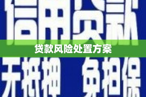 禹会贷款风险处置方案