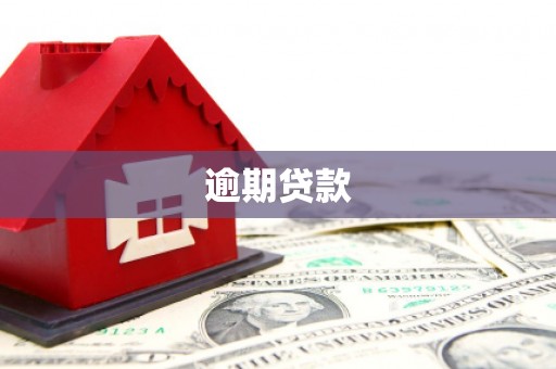 右玉逾期贷款