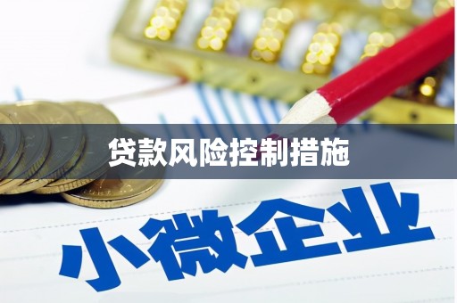 钢城贷款风险控制措施