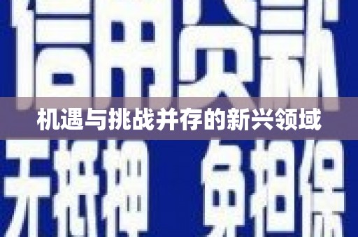 岳塘机遇与挑战并存的新兴领域