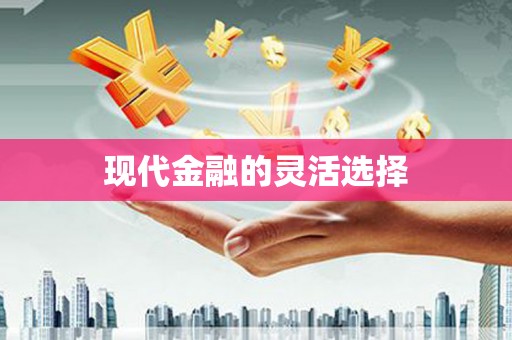 保税港区现代金融的灵活选择