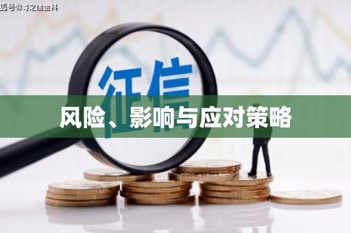 东明风险、影响与应对策略