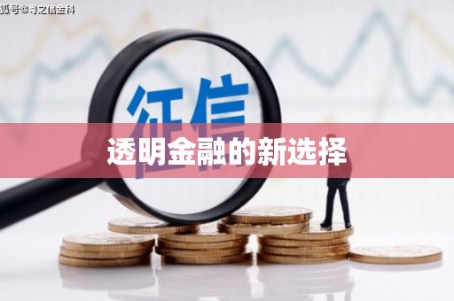 赫山透明金融的新选择
