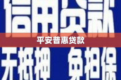 泾源平安普惠贷款