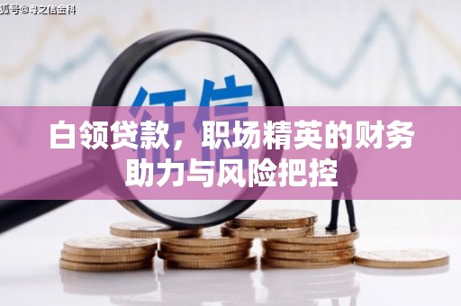 庄浪白领贷款,职场精英的财务助力与风险把控 庄浪白领贷款,职场精英的财务助力与风险把控