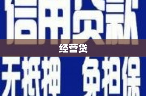 莎车经营贷